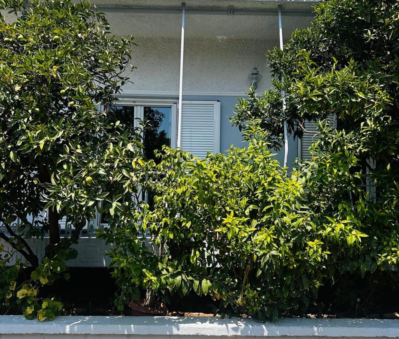 Sotiris Mandarin House Apartment Diakopto Ngoại thất bức ảnh